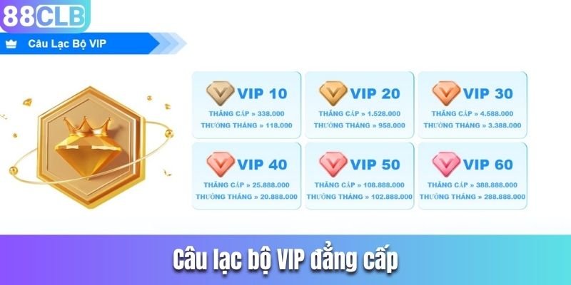 Câu lạc bộ VIP đẳng cấp